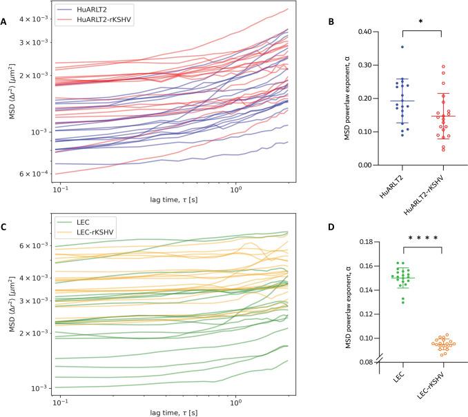 https://cdn.ncbi.nlm.nih.gov/pmc/blobs/9a6d/12018662/cbf16b1e8bab/12195_2025_848_Fig6_HTML.jpg
