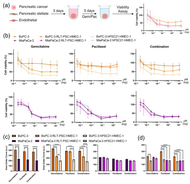 https://cdn.ncbi.nlm.nih.gov/pmc/blobs/9a8e/11940881/5db1ec168906/cells-14-00450-g003.jpg