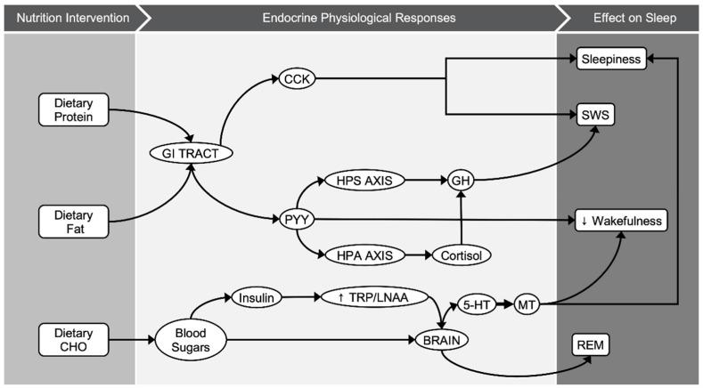https://cdn.ncbi.nlm.nih.gov/pmc/blobs/9a96/8069918/871fb3cc5185/nutrients-13-01283-g003.jpg