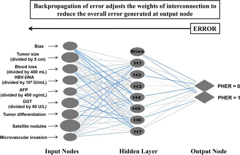 https://cdn.ncbi.nlm.nih.gov/pmc/blobs/9a97/7962237/a9fa5a1a8798/12885_2021_7969_Fig1_HTML.jpg