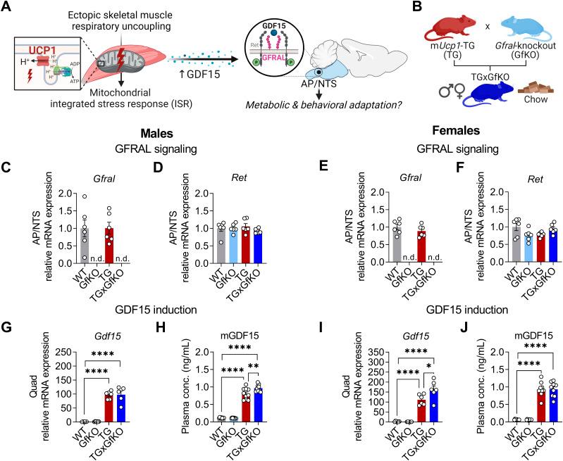 https://cdn.ncbi.nlm.nih.gov/pmc/blobs/9ab1/9449705/0a4a9805a2ed/LSA-2022-01495_Fig1.jpg