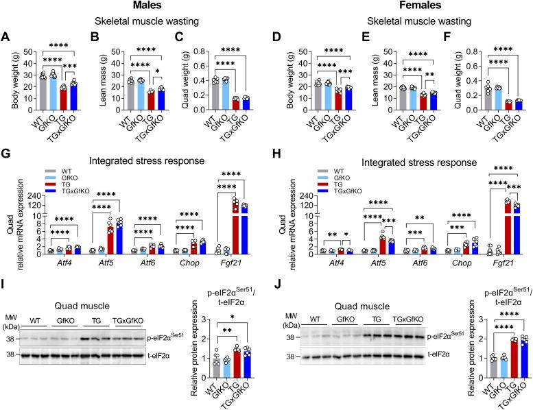 https://cdn.ncbi.nlm.nih.gov/pmc/blobs/9ab1/9449705/19bd65b66333/LSA-2022-01495_Fig2.jpg