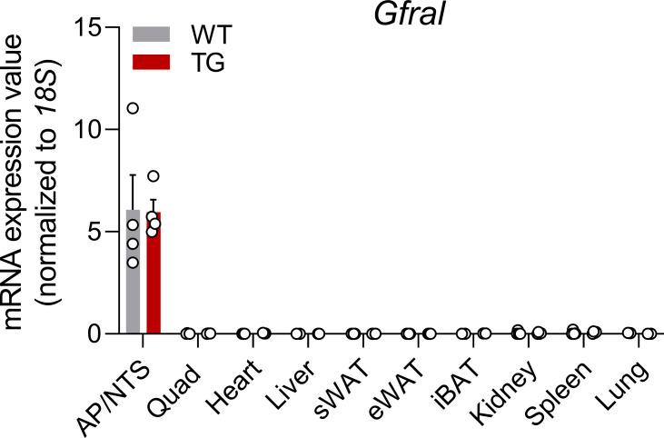 https://cdn.ncbi.nlm.nih.gov/pmc/blobs/9ab1/9449705/5d703308bbf2/LSA-2022-01495_FigS1.jpg