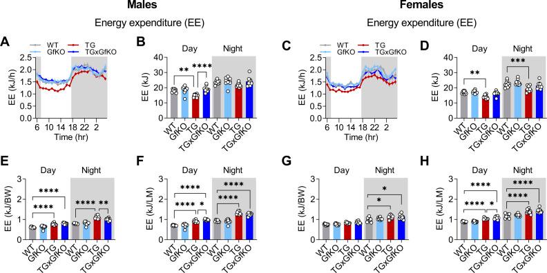 https://cdn.ncbi.nlm.nih.gov/pmc/blobs/9ab1/9449705/bb8954b37ffa/LSA-2022-01495_FigS3.jpg