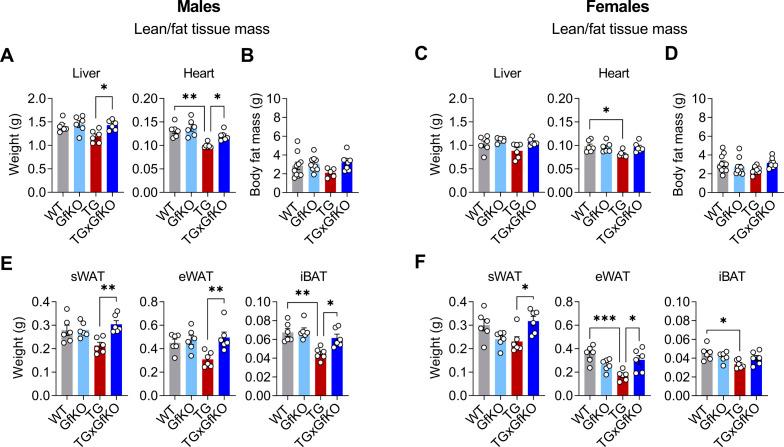 https://cdn.ncbi.nlm.nih.gov/pmc/blobs/9ab1/9449705/db0b01e36812/LSA-2022-01495_FigS2.jpg