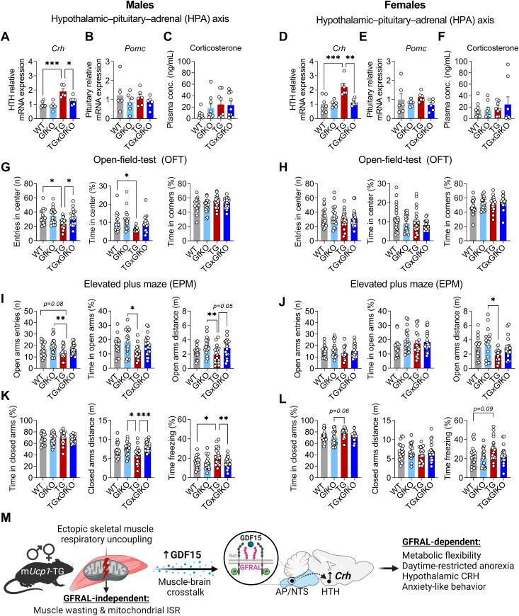 https://cdn.ncbi.nlm.nih.gov/pmc/blobs/9ab1/9449705/fdbf92485b44/LSA-2022-01495_Fig4.jpg