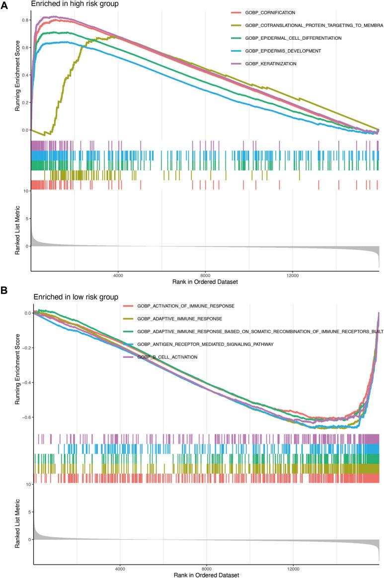 https://cdn.ncbi.nlm.nih.gov/pmc/blobs/9ab9/9449318/611a8863cf43/fgene-13-927614-g007.jpg