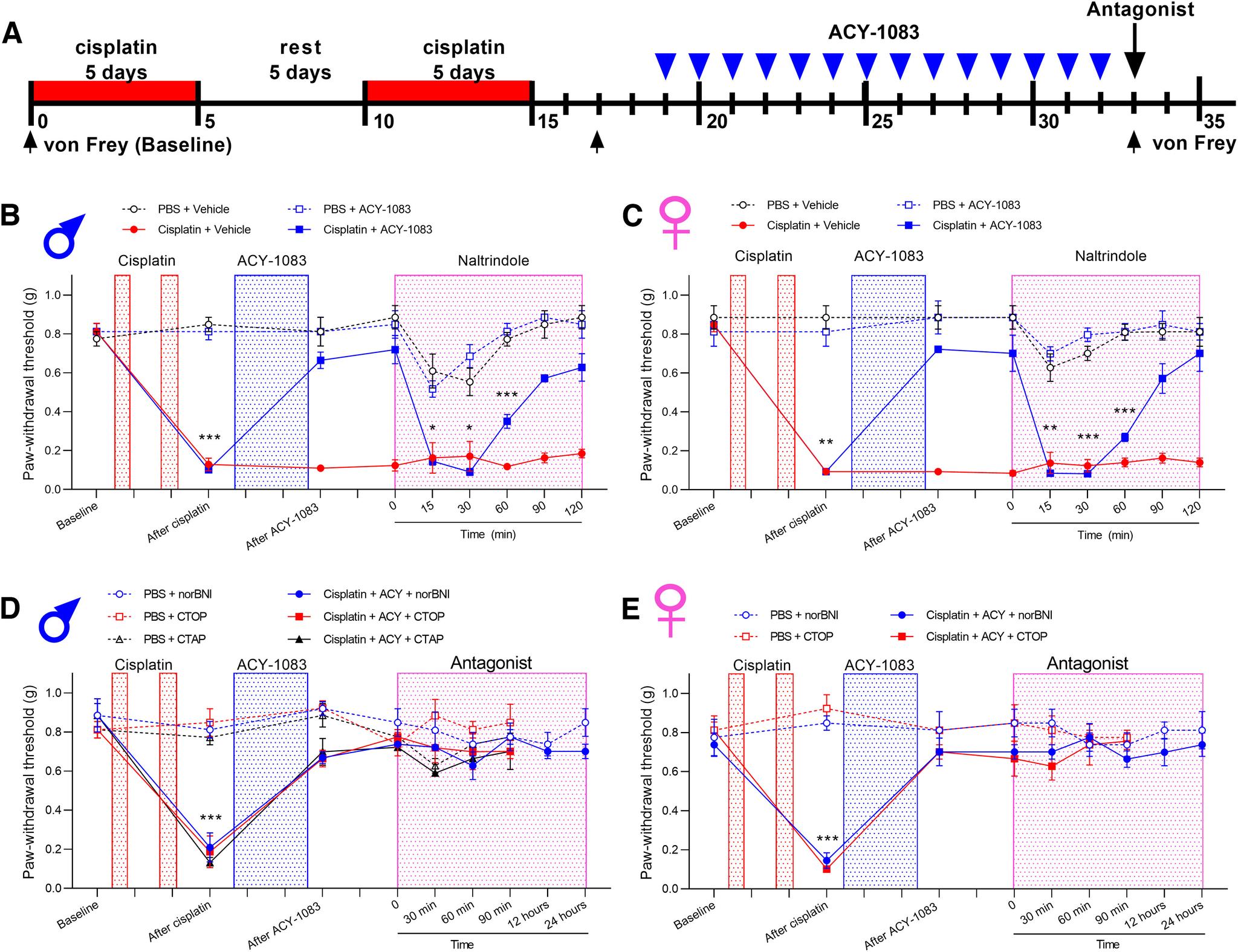https://cdn.ncbi.nlm.nih.gov/pmc/blobs/9abf/9617617/f999f6c31da8/SN-JNSJ220624F005.jpg