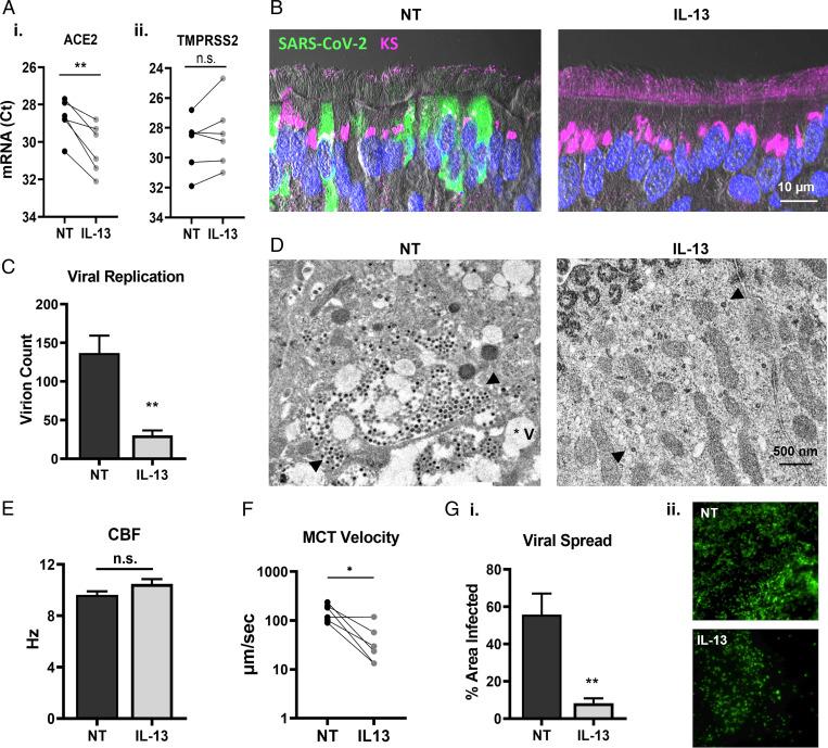 https://cdn.ncbi.nlm.nih.gov/pmc/blobs/9af3/9169748/2f32489d423b/pnas.2119680119fig07.jpg