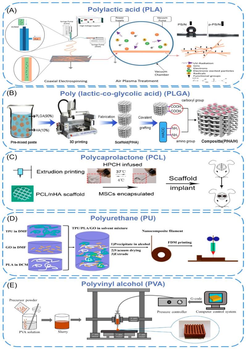 https://cdn.ncbi.nlm.nih.gov/pmc/blobs/9b00/10046132/512ed48bdd1e/biomimetics-08-00094-g002.jpg