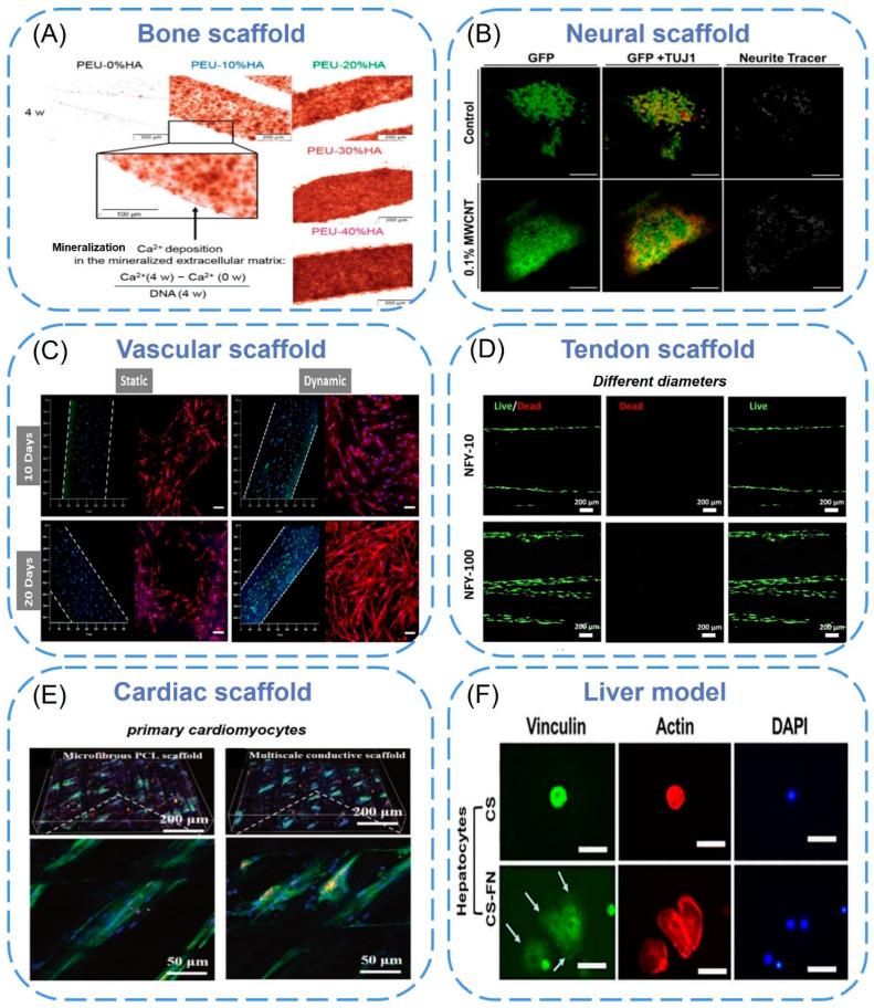 https://cdn.ncbi.nlm.nih.gov/pmc/blobs/9b00/10046132/c0348d749cbd/biomimetics-08-00094-g005.jpg