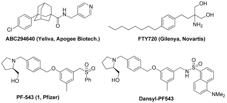 https://cdn.ncbi.nlm.nih.gov/pmc/blobs/9b25/6930633/07b781e96108/molecules-24-04408-g001.jpg