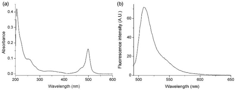 https://cdn.ncbi.nlm.nih.gov/pmc/blobs/9b25/6930633/42116faacf4c/molecules-24-04408-g002.jpg
