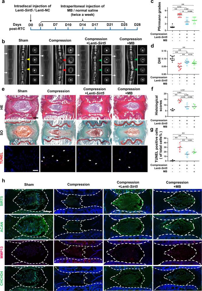 https://cdn.ncbi.nlm.nih.gov/pmc/blobs/9b46/9898264/80c014dc0bf3/12276_2023_928_Fig7_HTML.jpg
