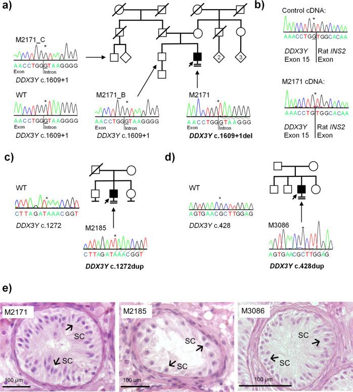 https://cdn.ncbi.nlm.nih.gov/pmc/blobs/9b51/10063662/f687c5774ef7/42003_2023_4714_Fig2_HTML.jpg