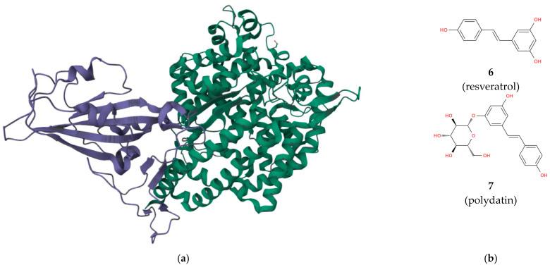 https://cdn.ncbi.nlm.nih.gov/pmc/blobs/9b57/10669076/006e9f782325/biomolecules-13-01591-g002.jpg