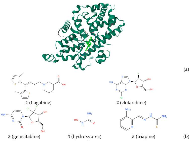 https://cdn.ncbi.nlm.nih.gov/pmc/blobs/9b57/10669076/f2046d7a4386/biomolecules-13-01591-g001.jpg