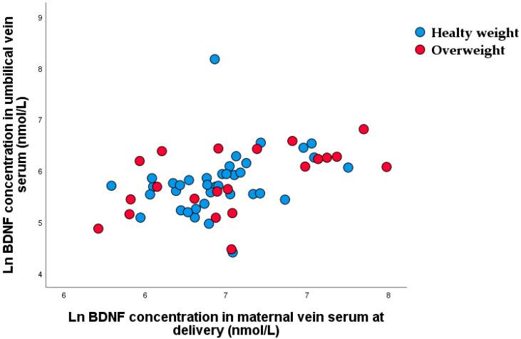 https://cdn.ncbi.nlm.nih.gov/pmc/blobs/9b76/9919383/9610e785f098/nutrients-15-00600-g007.jpg