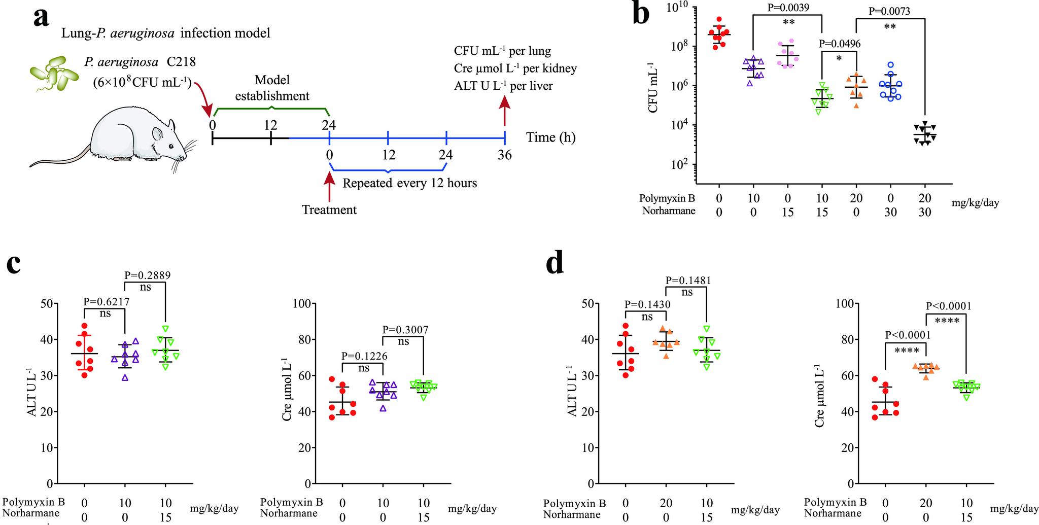 https://cdn.ncbi.nlm.nih.gov/pmc/blobs/9b86/9430567/455c76e33e79/spectrum.02764-21-f005.jpg