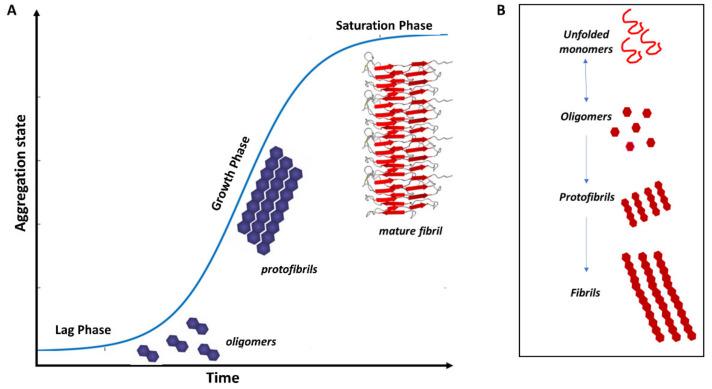 https://cdn.ncbi.nlm.nih.gov/pmc/blobs/9b92/8160836/feda55c85704/biomolecules-11-00767-g003.jpg