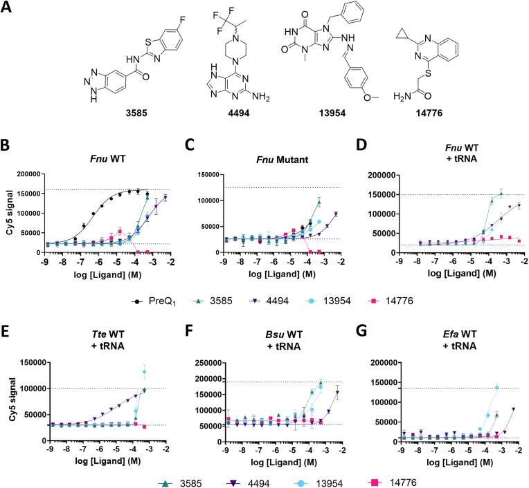 https://cdn.ncbi.nlm.nih.gov/pmc/blobs/9b99/12397912/aa46b298a57a/gkaf819fig5.jpg