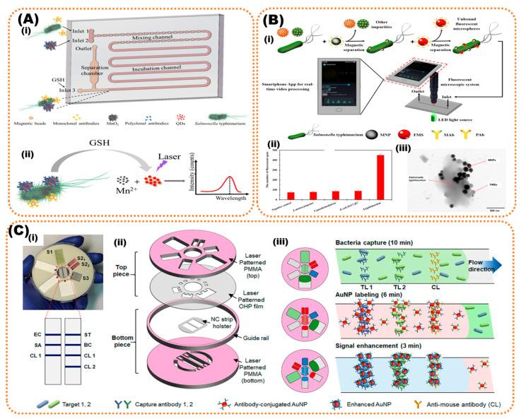 https://cdn.ncbi.nlm.nih.gov/pmc/blobs/9ba5/9953818/a85ae8bd7a98/biosensors-13-00249-g003.jpg