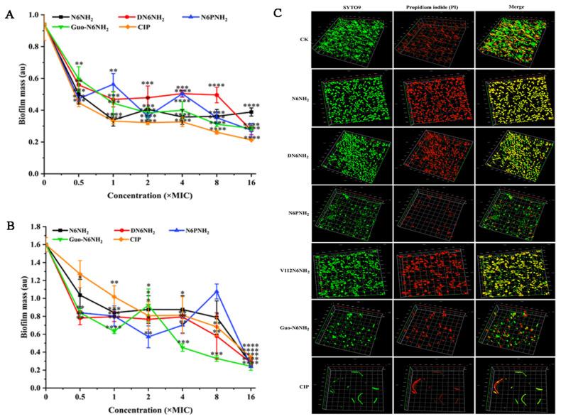 https://cdn.ncbi.nlm.nih.gov/pmc/blobs/9ba9/7767178/9adccf98ed42/ijms-21-09637-g005.jpg