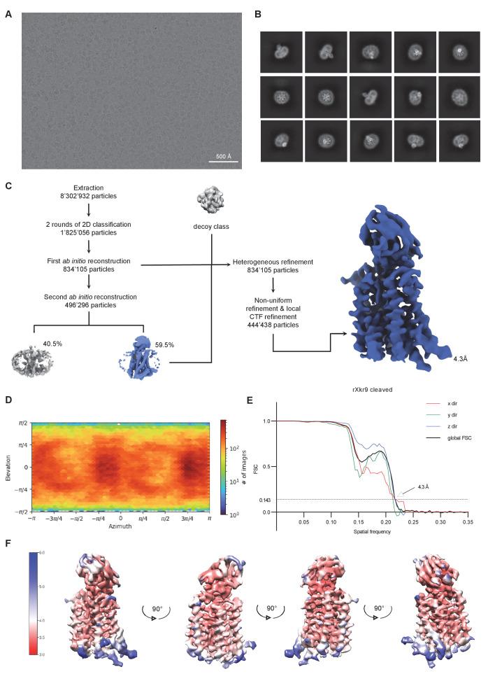 https://cdn.ncbi.nlm.nih.gov/pmc/blobs/9bb2/8298096/3bbc2641d111/elife-69800-fig2-figsupp2.jpg