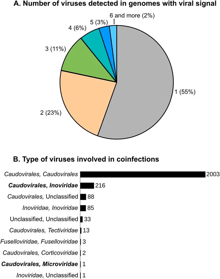 https://cdn.ncbi.nlm.nih.gov/pmc/blobs/9bc9/4533152/9923feeb55dd/elife08490f004.jpg