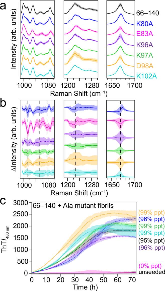 https://cdn.ncbi.nlm.nih.gov/pmc/blobs/9bd1/12019160/34397acab809/41467_2025_58899_Fig5_HTML.jpg