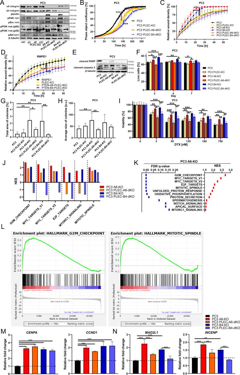https://cdn.ncbi.nlm.nih.gov/pmc/blobs/9bd1/9307480/dd4a01aa7424/41388_2022_2389_Fig4_HTML.jpg