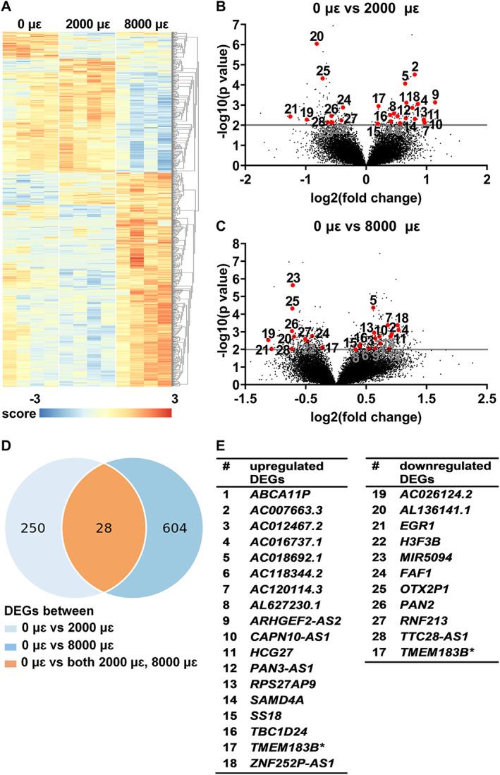 https://cdn.ncbi.nlm.nih.gov/pmc/blobs/9bd2/10097643/19bdf34dc2d2/JBM4-7-e10721-g003.jpg