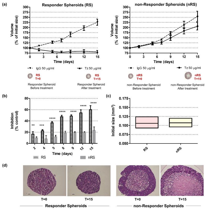 https://cdn.ncbi.nlm.nih.gov/pmc/blobs/9bd5/11242363/5ff1cef8477d/ijms-25-07397-g001.jpg