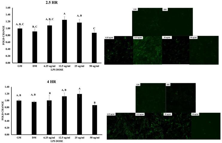 https://cdn.ncbi.nlm.nih.gov/pmc/blobs/9bee/10669906/c9c25a433114/biomolecules-13-01626-g005.jpg