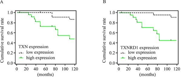 https://cdn.ncbi.nlm.nih.gov/pmc/blobs/9bf2/4694848/412e48aaee0d/oncotarget-06-25506-g002.jpg