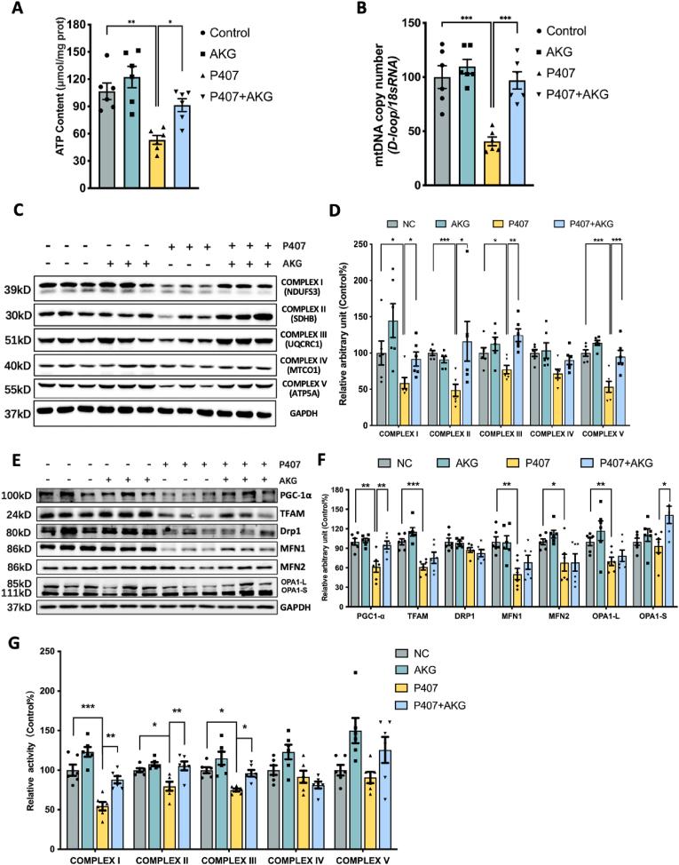 https://cdn.ncbi.nlm.nih.gov/pmc/blobs/9bfc/11226981/ab8bc0c7da6c/gr2.jpg