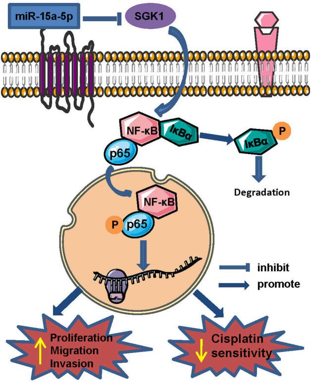 https://cdn.ncbi.nlm.nih.gov/pmc/blobs/9c02/8880965/5cec06d2e5e6/bmj-38-6-331_f006.jpg