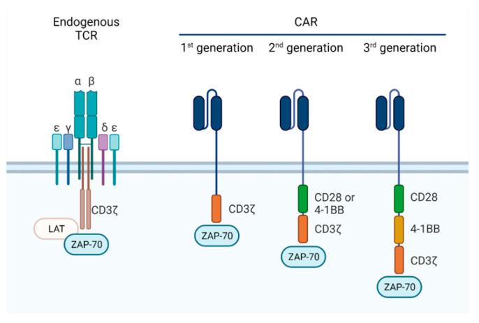 https://cdn.ncbi.nlm.nih.gov/pmc/blobs/9c13/8657024/9743361aca5a/cancers-13-06067-g003.jpg
