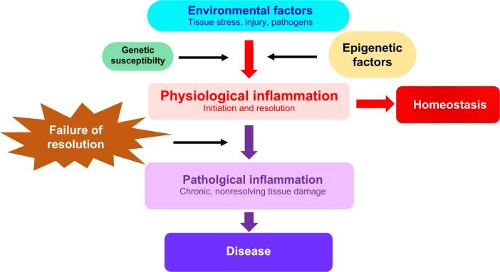 https://cdn.ncbi.nlm.nih.gov/pmc/blobs/9c22/6304253/6ce077aefaa3/jir-12-001Fig1.jpg