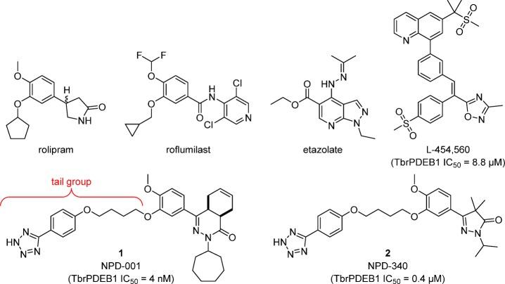 https://cdn.ncbi.nlm.nih.gov/pmc/blobs/9c29/5949723/8123e35a3e4e/jm-2017-01670j_0001.jpg