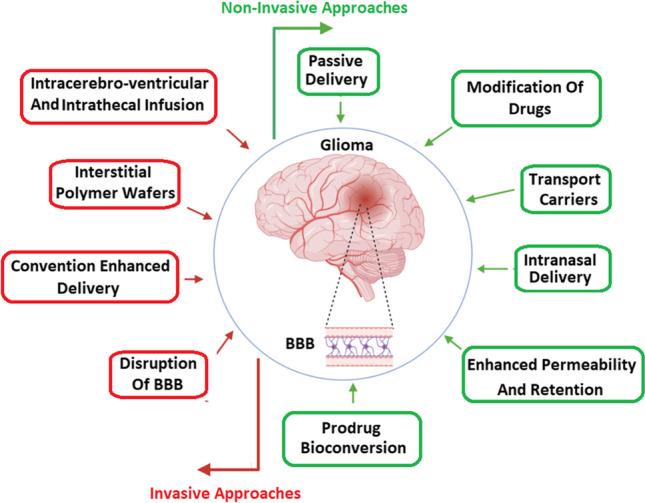 https://cdn.ncbi.nlm.nih.gov/pmc/blobs/9c2b/10155653/c54f32eead51/12035_2023_3365_Fig2_HTML.jpg