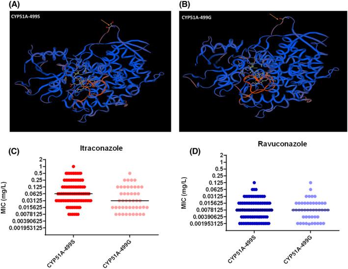 https://cdn.ncbi.nlm.nih.gov/pmc/blobs/9c2b/9804462/19f97e5689b4/MYC-65-1170-g003.jpg