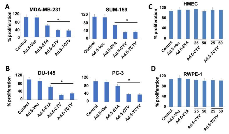 https://cdn.ncbi.nlm.nih.gov/pmc/blobs/9c36/7922065/780d3b267034/cancers-13-00857-g002.jpg