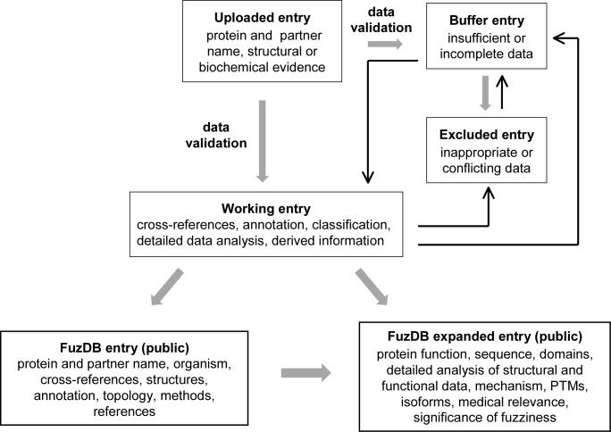 https://cdn.ncbi.nlm.nih.gov/pmc/blobs/9c38/5210525/a7a91fbc07ce/gkw1019fig1.jpg