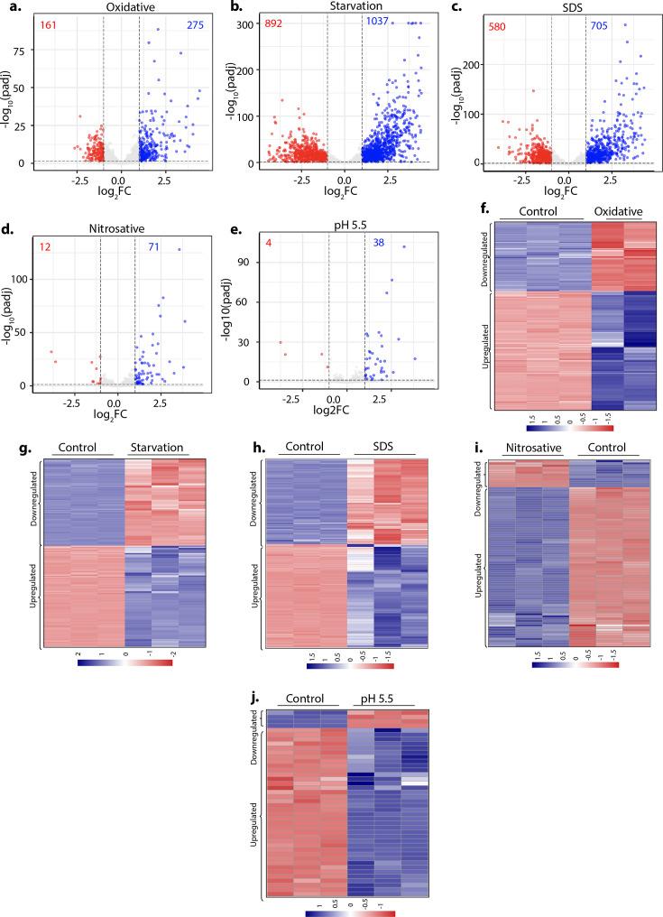 https://cdn.ncbi.nlm.nih.gov/pmc/blobs/9c59/11361707/43b07720a6ce/elife-91970-fig1-figsupp2.jpg