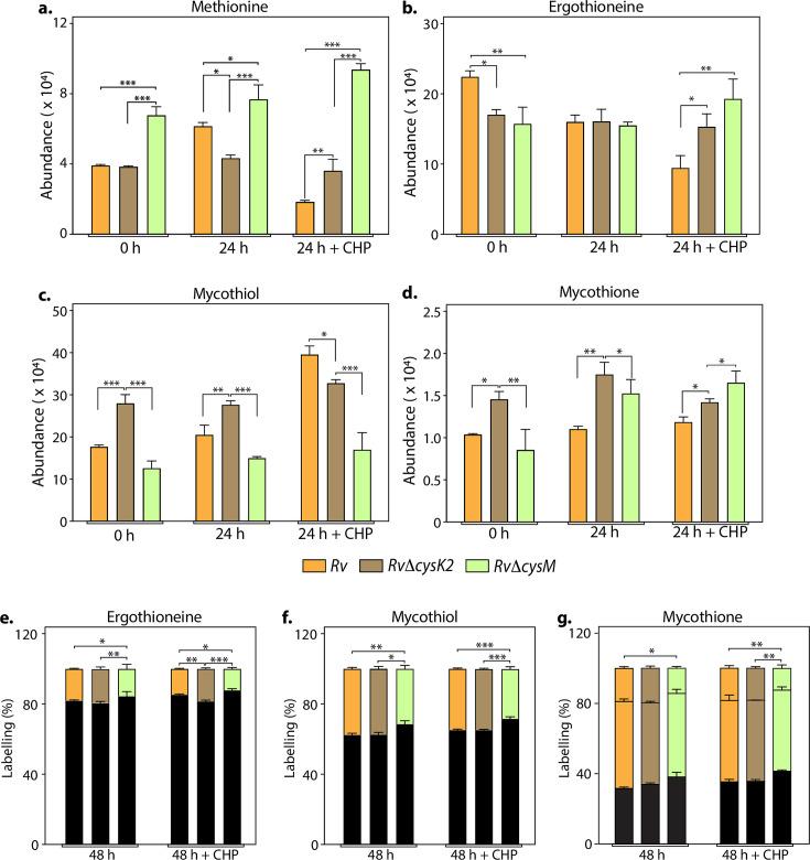 https://cdn.ncbi.nlm.nih.gov/pmc/blobs/9c59/11361707/4f50ec12c1cf/elife-91970-fig3.jpg