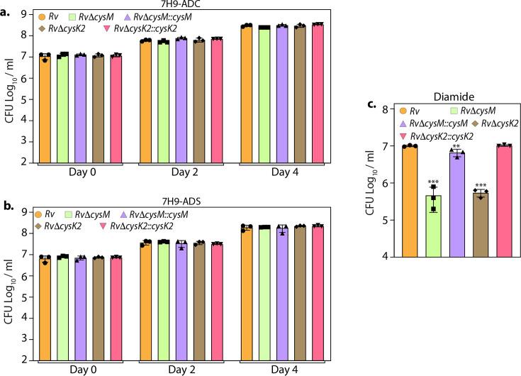 https://cdn.ncbi.nlm.nih.gov/pmc/blobs/9c59/11361707/7d174d55fbcf/elife-91970-fig1-figsupp5.jpg
