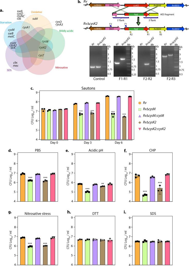 https://cdn.ncbi.nlm.nih.gov/pmc/blobs/9c59/11361707/ab851ec0c319/elife-91970-fig1.jpg