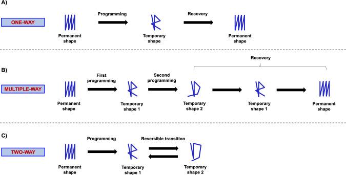 https://cdn.ncbi.nlm.nih.gov/pmc/blobs/9c59/11926060/850bcdbd1fd1/40964_2024_743_Fig4_HTML.jpg