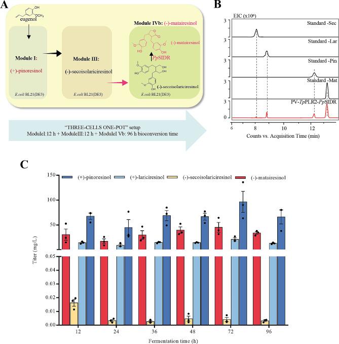 https://cdn.ncbi.nlm.nih.gov/pmc/blobs/9c65/11225284/baaea9633ee7/12934_2024_2467_Fig4_HTML.jpg